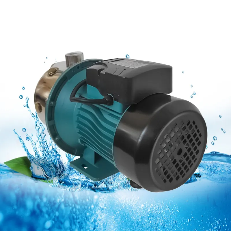 Pompa autoamorsanta de suprafata , DDT, JS100, 2200 W, 3000l/h Cel mai bun preț